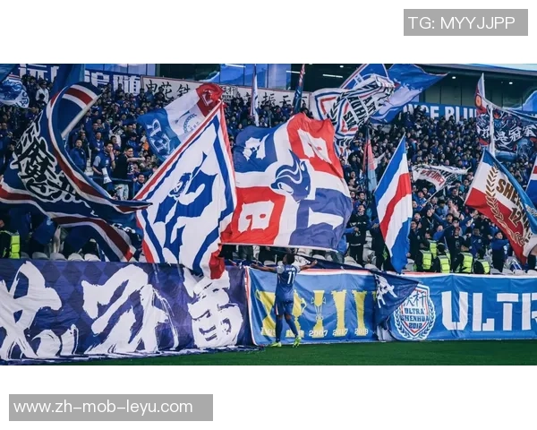 足球球迷激烈争吵现场视频引发热议网友纷纷评论各自看法与感受